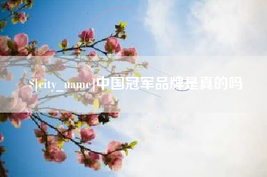 惠州中国冠军品牌是真的吗