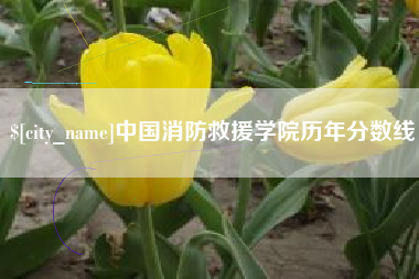 惠州中国消防救援学院历年分数线