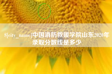 惠州中国消防救援学院山东2020年录取分数线是多少