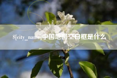 惠州中国地图空白框是什么