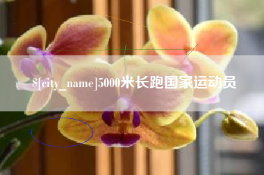 惠州5000米长跑国家运动员
