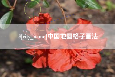 惠州中国地图格子画法