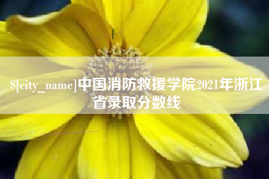 惠州中国消防救援学院2021年浙江省录取分数线