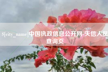 惠州中国执政信息公开网-失信人员查询页