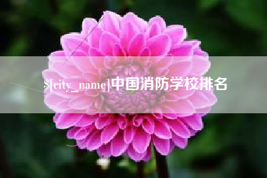 惠州中国消防学校排名