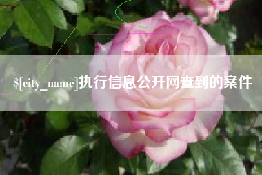 惠州执行信息公开网查到的案件
