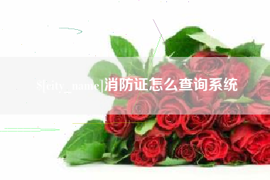 惠州消防证怎么查询系统