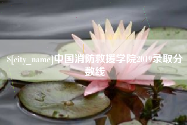 惠州中国消防救援学院2019录取分数线