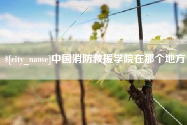 惠州中国消防救援学院在那个地方