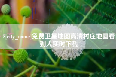 惠州免费卫星地图高清村庄地图看到人实时下载