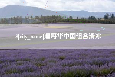 惠州温哥华中国组合滑冰