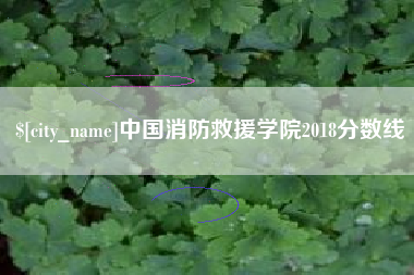惠州中国消防救援学院2018分数线