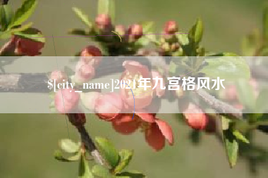 惠州2021年九宫格风水