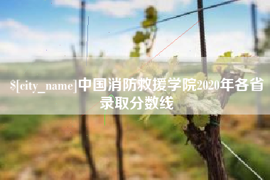 惠州中国消防救援学院2020年各省录取分数线