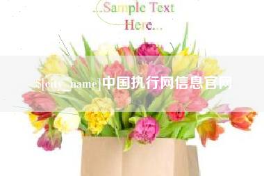 惠州中国执行网信息官网