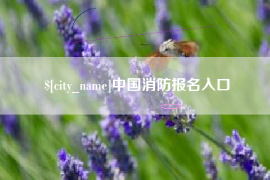 惠州中国消防报名入口