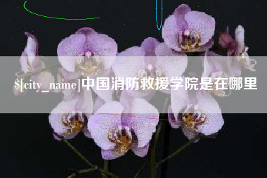 惠州中国消防救援学院是在哪里