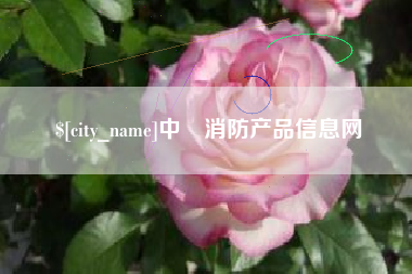 惠州中囯消防产品信息网
