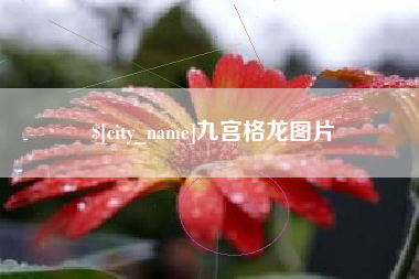 惠州九宫格龙图片