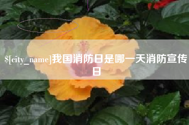 惠州我国消防日是哪一天消防宣传日