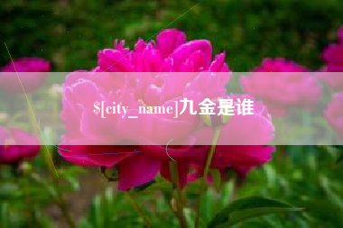 惠州九金是谁