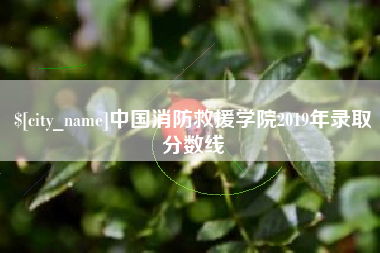 惠州中国消防救援学院2019年录取分数线