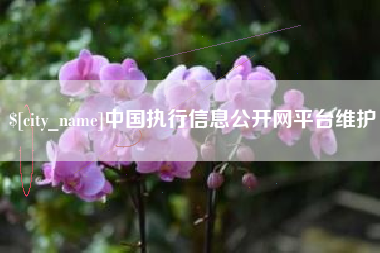 惠州中国执行信息公开网平台维护