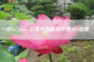 惠州卫星地图高清免费2024街景
