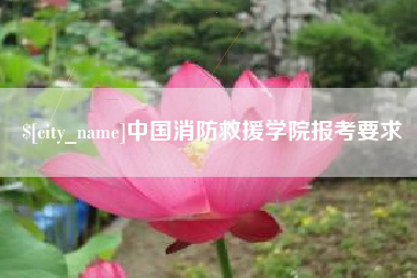 惠州中国消防救援学院报考要求