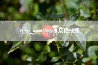 惠州5000米及格成绩