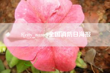 惠州全国消防日海报