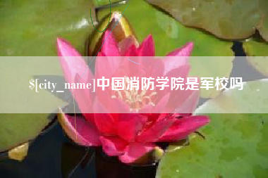 惠州中国消防学院是军校吗