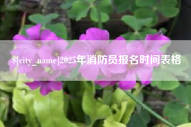 惠州2025年消防员报名时间表格