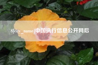 惠州中国执行信息公开网后
