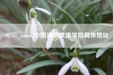 惠州中国消防救援学院具体地址