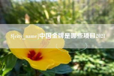 惠州中国金牌是哪些项目2021