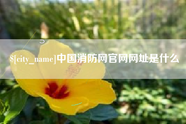 惠州中国消防网官网网址是什么