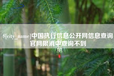 惠州中国执行信息公开网信息查询官网限消中查询不到