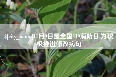惠州11月9日是全国119消防日,为积极推进修改病句