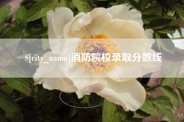 惠州消防院校录取分数线