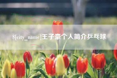 惠州王子豪个人简介乒乓球