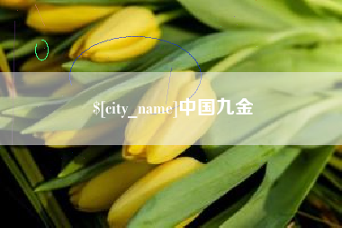 惠州中国九金