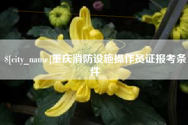 惠州重庆消防设施操作员证报考条件