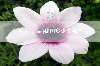 惠州我国多少个金牌