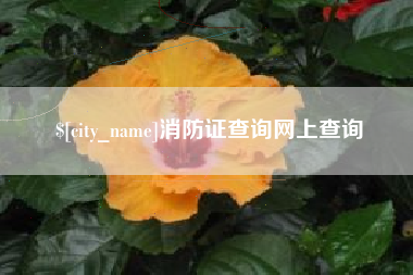 惠州消防证查询网上查询