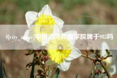 惠州中国消防救援学院属于985吗