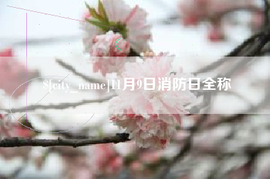 惠州11月9日消防日全称