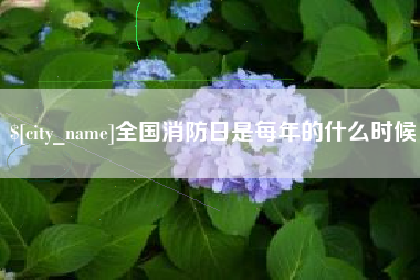 惠州全国消防日是每年的什么时候