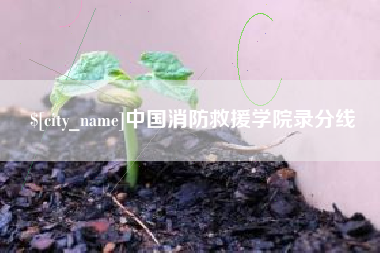 惠州中国消防救援学院录分线