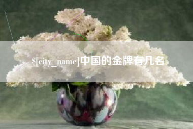 惠州中国的金牌有几名